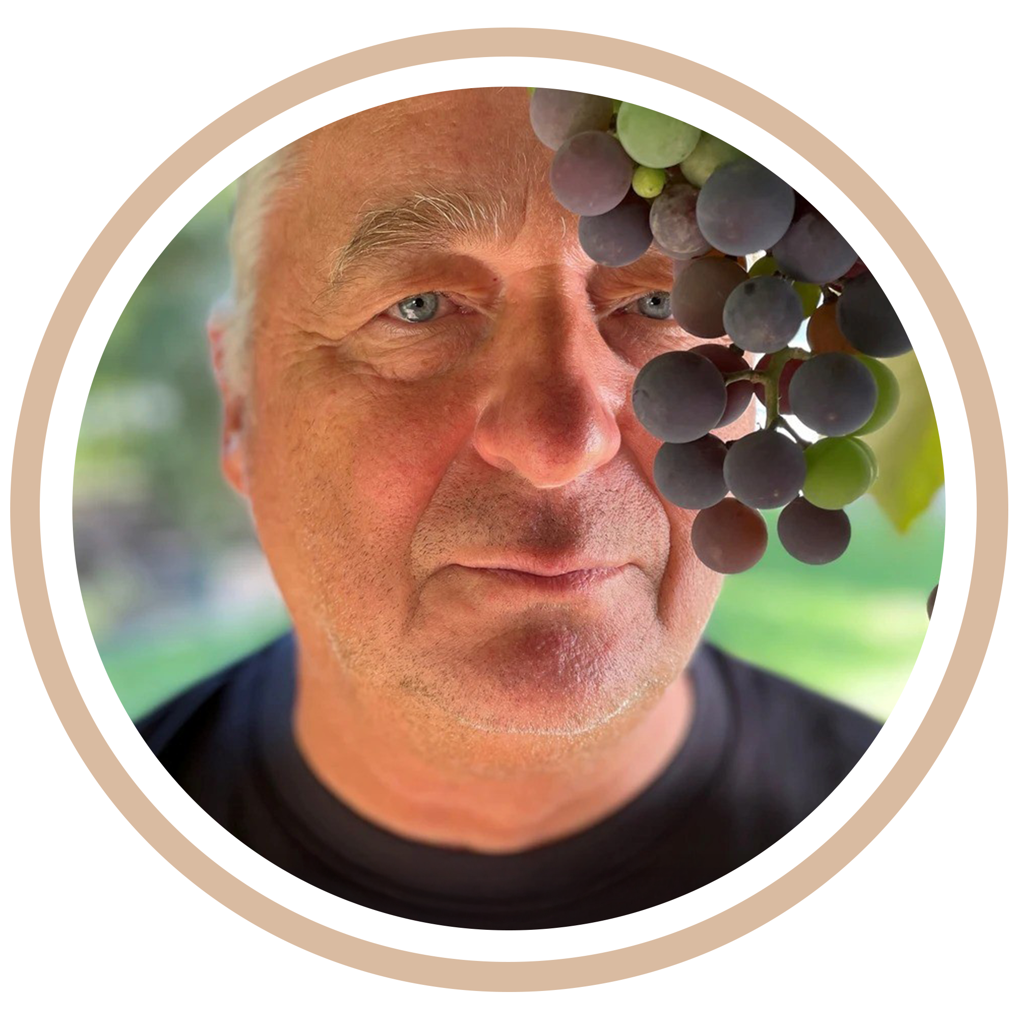 Rosengarten am Pöstlingberg -